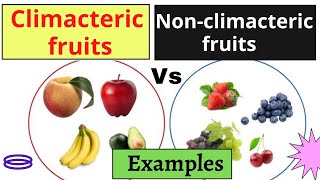 Climacteric Fruits vs Non climacteric me हिंदी में [upl. by Lau]