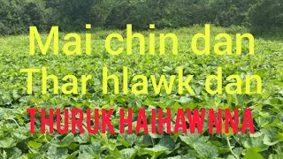 Mai chin dan leh enkawl dan [upl. by Chinua]