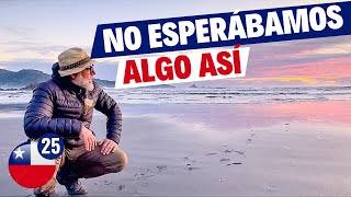 😱CONOCIMOS MEHUIN EN CHILE Un PARAISO ENTRE PLAYAS Y CALETAS UNICAS chile playa [upl. by Sims]