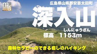 広島県山県郡安芸太田町【深入山 標高1153m】森林セラピーができる癒しの山 [upl. by Kalie570]