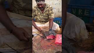 🦚MYZIL KOLA FISH  KASIMEDU MINNAL RAJA FISH CUTTING SKILLS kasimedu [upl. by Frechette435]