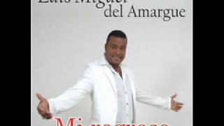 Luis miguel del amargue  Se acabo lo bonito [upl. by Ahsrav725]