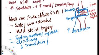 SSRI mechanism and Side effects [upl. by Anaiek]