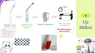 Cara mudah uji Protein dan Asam Amino Praktikum Biokimia [upl. by Anette927]