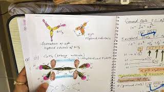 Chemical BondingConcept Of Hybridisation Involving S P and D Orbitals with ShapesSP3 SP3D SP3D2 [upl. by Einrae]