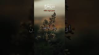 surah hujj Ayat no 37  Qurbani  Taqwa  Drzakirchannel MRSMofficialislamicvideo beautiful [upl. by Neitsabes]