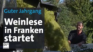 Offizieller Start der Weinlese in Franken Aussichten und Sorgen  BR24 [upl. by Oinotnanauj]