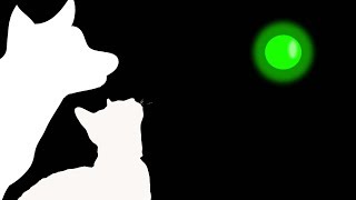 CAT GAMES  GREEN LASER CHASER FOR CATS ONLY [upl. by Ennalorac233]