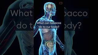 What can tobacco do to our body [upl. by Egin]