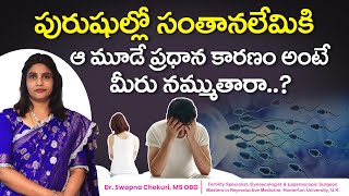 పురుషుల్లో సంతానలేమికి ఆ మూడే ప్రధాన కారణం  Main Causes of Male Infertility  HFC [upl. by Sisile]