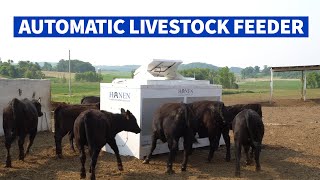 Hanen Automatic Cattle amp Livestock Feeders [upl. by Ettezyl]