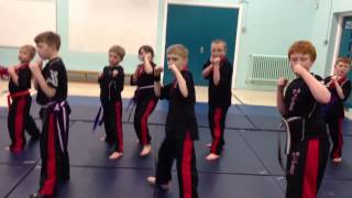 Sedgley School Of Black Belts [upl. by Hola]