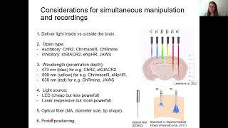 2022 Lecture 11 Neuropixels and optogenetics Socha and Beau [upl. by Durno190]