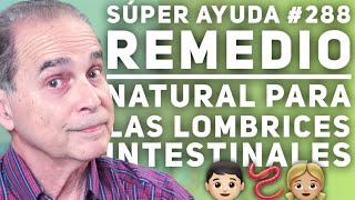 7 Dudas sobre Lombrices y el HUMUS de LOMBRIZ ¡LO QUE NADIE TE CUENTA 😱 Huerto Urbano y Jardín [upl. by Alverta27]