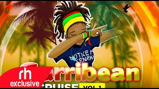 REGGAE MIX 2020 HOT REGGAE SONGS MIX CARIBBEAN CRUISE  TAEGA TEE  RH EXCLUSIVE [upl. by Seldan540]