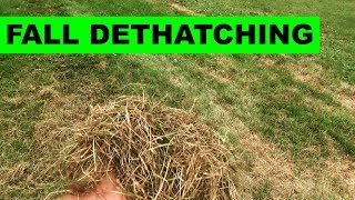 How to dethatch your lawn with a power rake [upl. by Berget132]