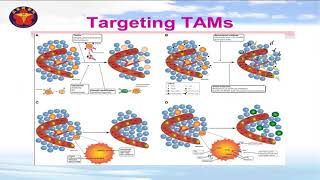 Targeting TumorAssociated Macrophages as Treatment Strategies in Cancer [upl. by Ahsilek]