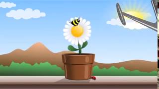 Flowers and ladybugs Cartoon Animation [upl. by Lenzi864]