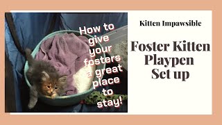 Foster Kittens Playpen Setup [upl. by Bello]