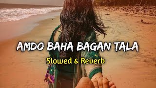 Amdo Baha Bagantala Slowed  Reverb  Santali Lofi Song [upl. by Epuladaug]