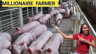 Learn How To Start A PIG Farm BusinessDETAILED  2023 [upl. by Ferullo60]