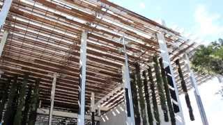 Pérez Art Museum Miami PAMM Hanging Gardens [upl. by Theodosia779]