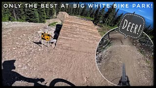 Only The Best of Big White Bike Park on My Trek Slash 9 Gen 6 [upl. by Nirag]