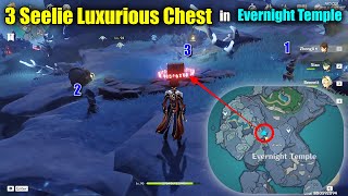 3 Seelie Luxurious chest in Evernight Temple  Enkanomiya [upl. by Basilio157]