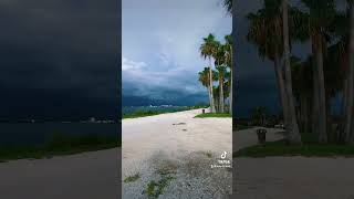 Dunedin Florida 📍🇺🇸 florida dunedin youtube shorts summer beach video [upl. by Yerdna]