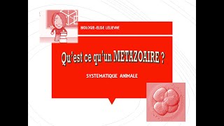 Présentation des Métazoaires [upl. by Amaras340]