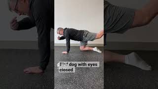 Kinesthesia enhancing eyes closed bird dog exercise ￼ [upl. by Chilt]