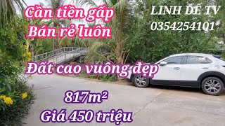 T1134💕Cần tiền bán rẻ đất vườn 817m²giá 450 triệuở xã tân hộithị xã cai lậy tiền giang [upl. by Dorina98]