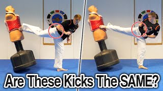 Is the Spin Back Kick amp Spin Side Kick the SAME  GNT Taekwondo Tutorial [upl. by Assetan]