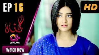 Gunnah  EP 16  Aplus Sara Elahi Shamoon Abbasi Asad Malik  Pakistani Drama  C3M1 [upl. by Nelak96]