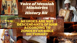 History Bit quotNegroes Are Not Descendants of Ham according to Zondervan Bible Dictionaryquot [upl. by Studnia76]