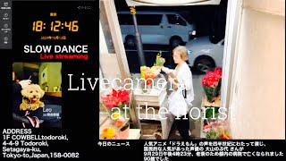 【Sat10122024 Livecamera at the florist】2 スローダンス SLOWDANCE 等々力 尾山台 世田谷 Setagaya 東京 Tokyo 日本 Japan [upl. by Ashwell53]