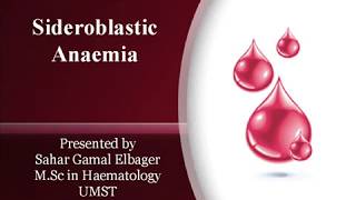 Sideroblastic Anaemia [upl. by Atonsah]