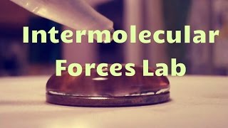 Intermolecular Forces Lab [upl. by Branca]