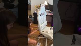 Dowinx white cat gaming chair gamingchair [upl. by Weisler25]