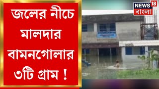 Malda Flood  পুনর্ভবা নদীর জলে মালদার বামনগোলায় বন্যা পরিস্থিতি জলের তলায় ৩টি গ্রাম  Bangla News [upl. by Ardek616]