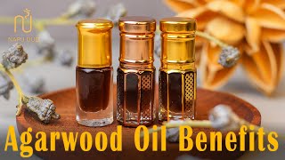 Oud Oil Benefits  What Is Agarwood Oil Used For [upl. by Krasnoff]