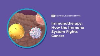 Immunotherapy How the Immune System Fights Cancer [upl. by Novyart]