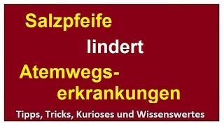 Salzpfeife beruhigt Atemwegserkrankungen Asthma COPD Pollenallergie reinigt Salztherapie Saltpipe [upl. by Egdamlat]