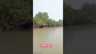 ম্যানগ্রোভবাগেরহাট 🌲🐅🌴shortvideo nature bagerhat [upl. by Victorie274]