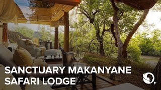 Sanctuary Makanyane Luxury Safari Lodge Madikwe Game Reserve South Africa [upl. by Hnahk252]