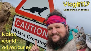 Caution otters crossing Pt 2 🦦😻 Vlog 117 [upl. by Arotak]