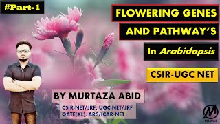 Flower Development Genes And Pathways in Arabidopsis thaliana  CSIRNET ICMR DBT Gate MSc [upl. by Anelrahs]