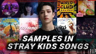 SamplesInterpolations in Stray Kids amp 3RACHA Songs [upl. by Aowda994]