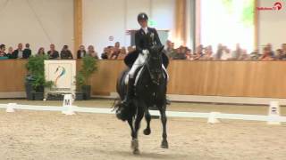 Leonie Richter  Don Windsor OLD  3Wertung Dressur junge Reiter  DJM Riesenbeck  2016 [upl. by Aiekat360]