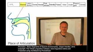 PHO106  Basic Segments of Speech Consonants [upl. by Seravart]